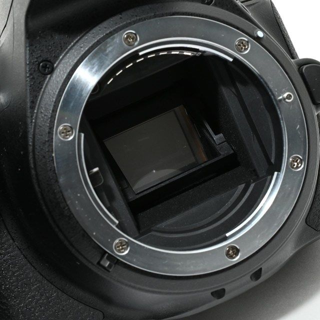 エントリー一眼レフ