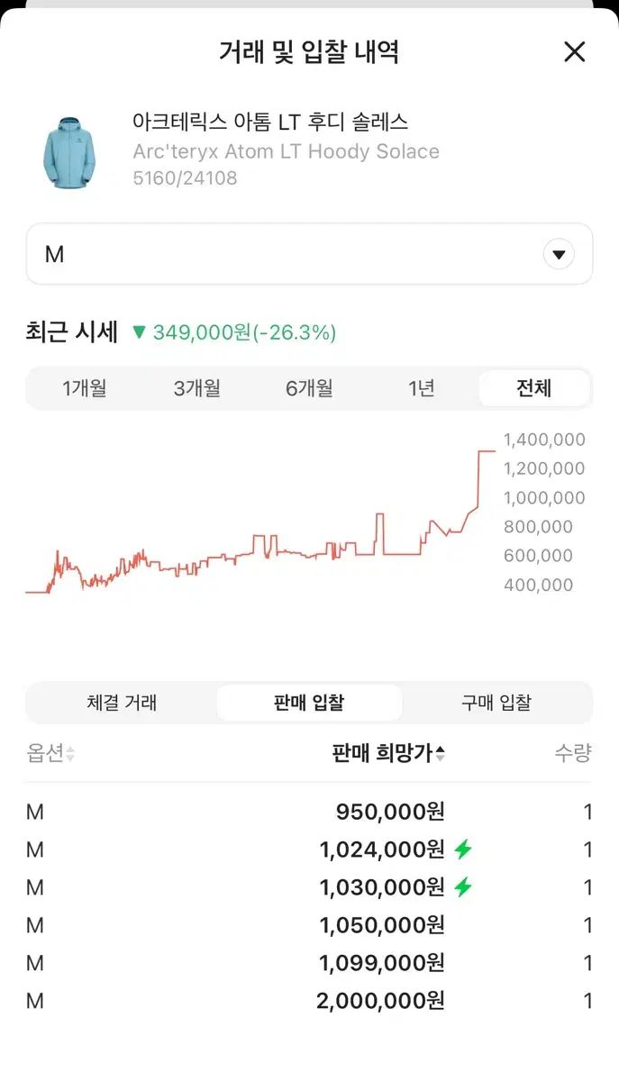 SS級 ARC TERYX アークテリクス Atom アトム LT フーディー ソレス M