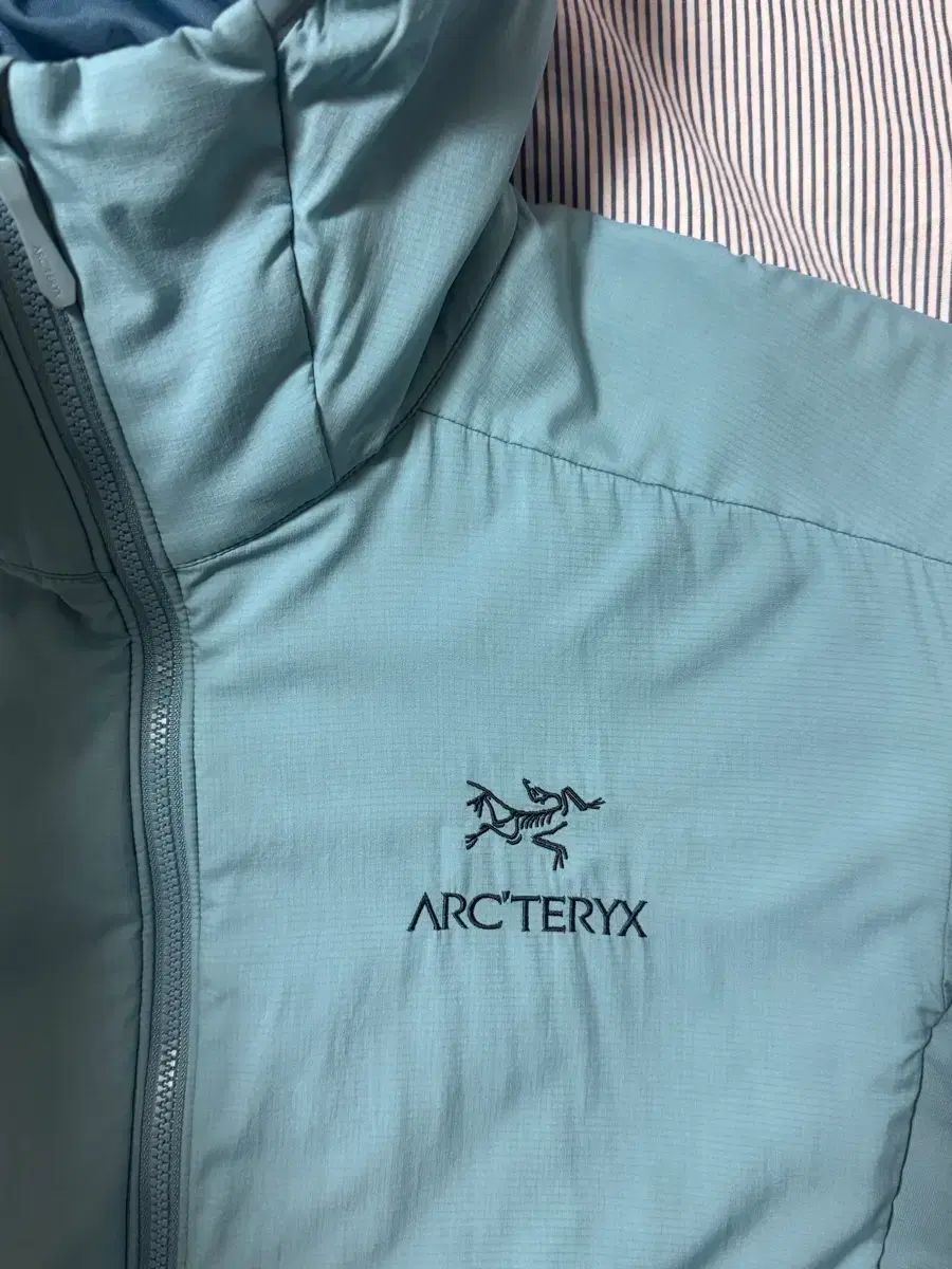  SS級 ARC TERYX アークテリクス Atom アトム LT フーディー ソレス M その他 アウター