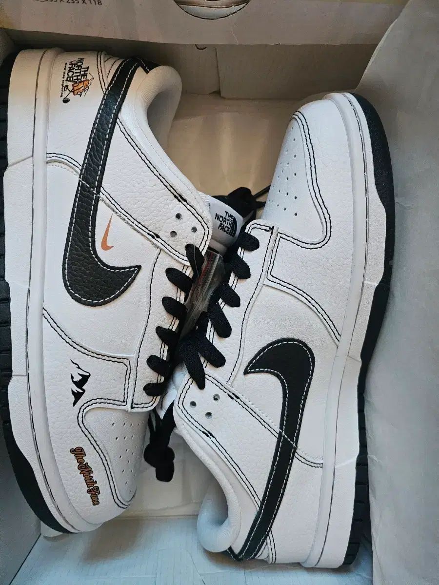 ナイキ ダンク ロー ザノースフェイス 白 ブラック