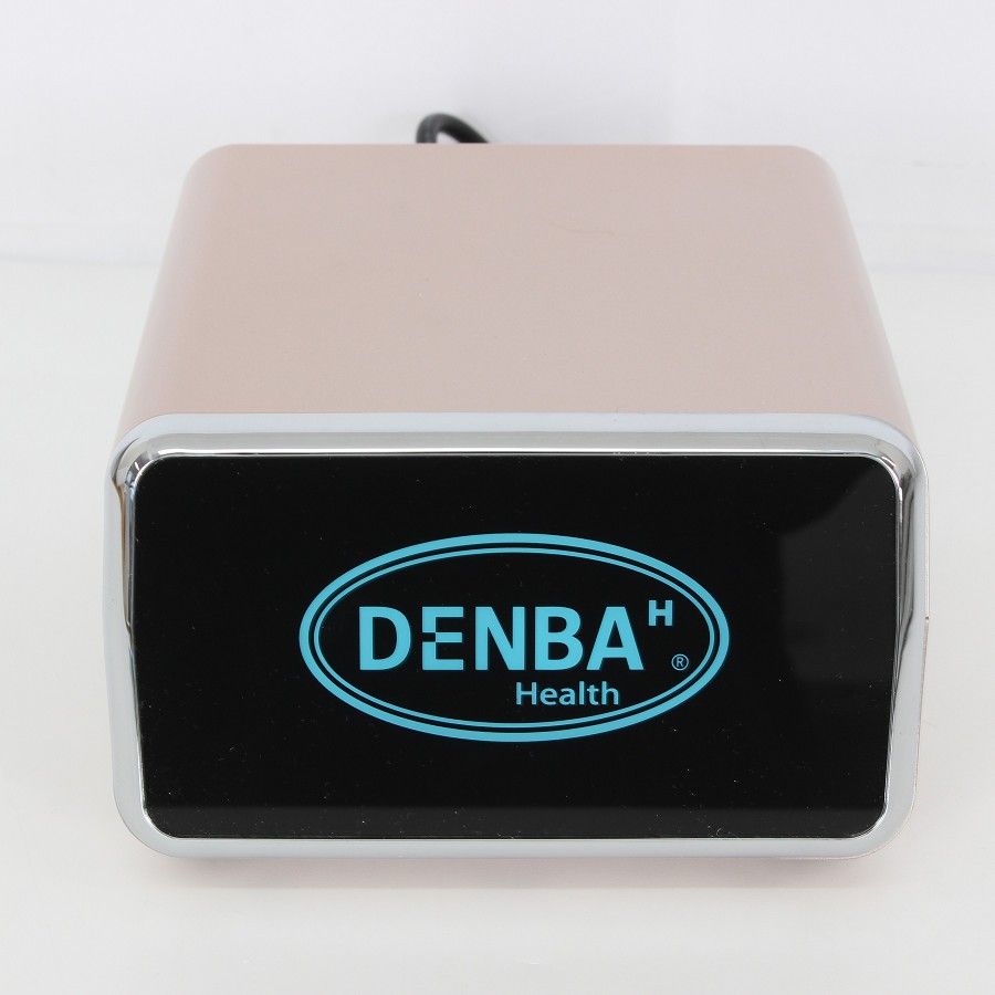 デンバヘルス タイプ DENBA-08 H 追加敷きマット付き 空間電位発生システム 家庭向け健康マット DENBA Health 本体