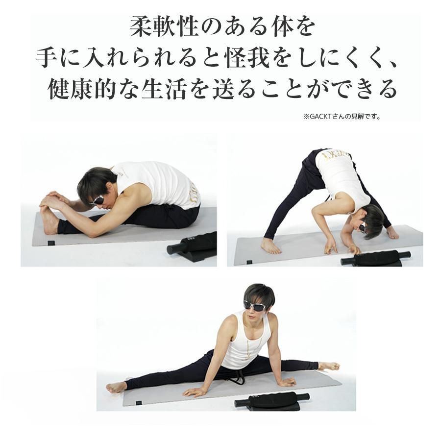 GACKTﾌﾟﾛﾃﾞｭｰｽ ｴｸｽﾄﾗﾘﾘｰｽ ﾌﾞﾗｯｸ スイスボール 社会人トレーニング用品