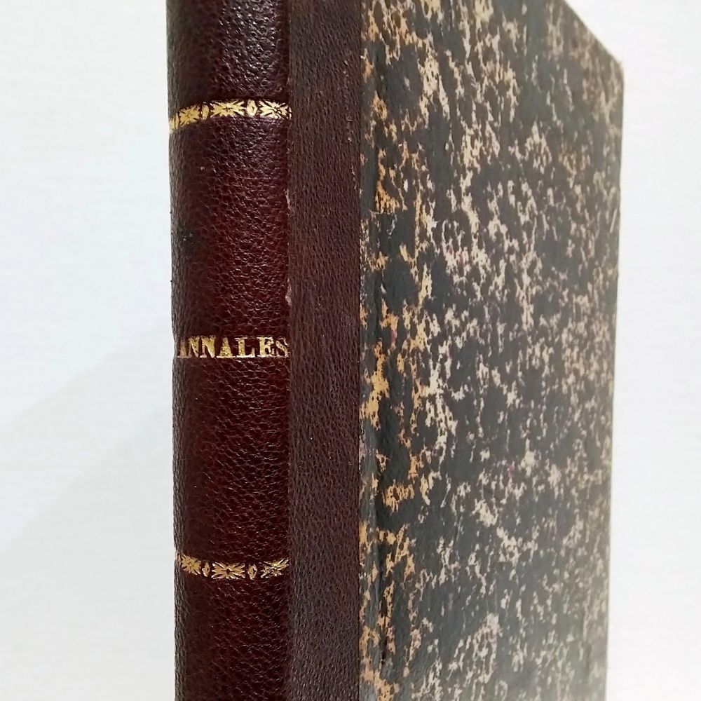 フランス アンティーク 政治文学雑誌 1892年 マーブル紙 革背表紙 古書