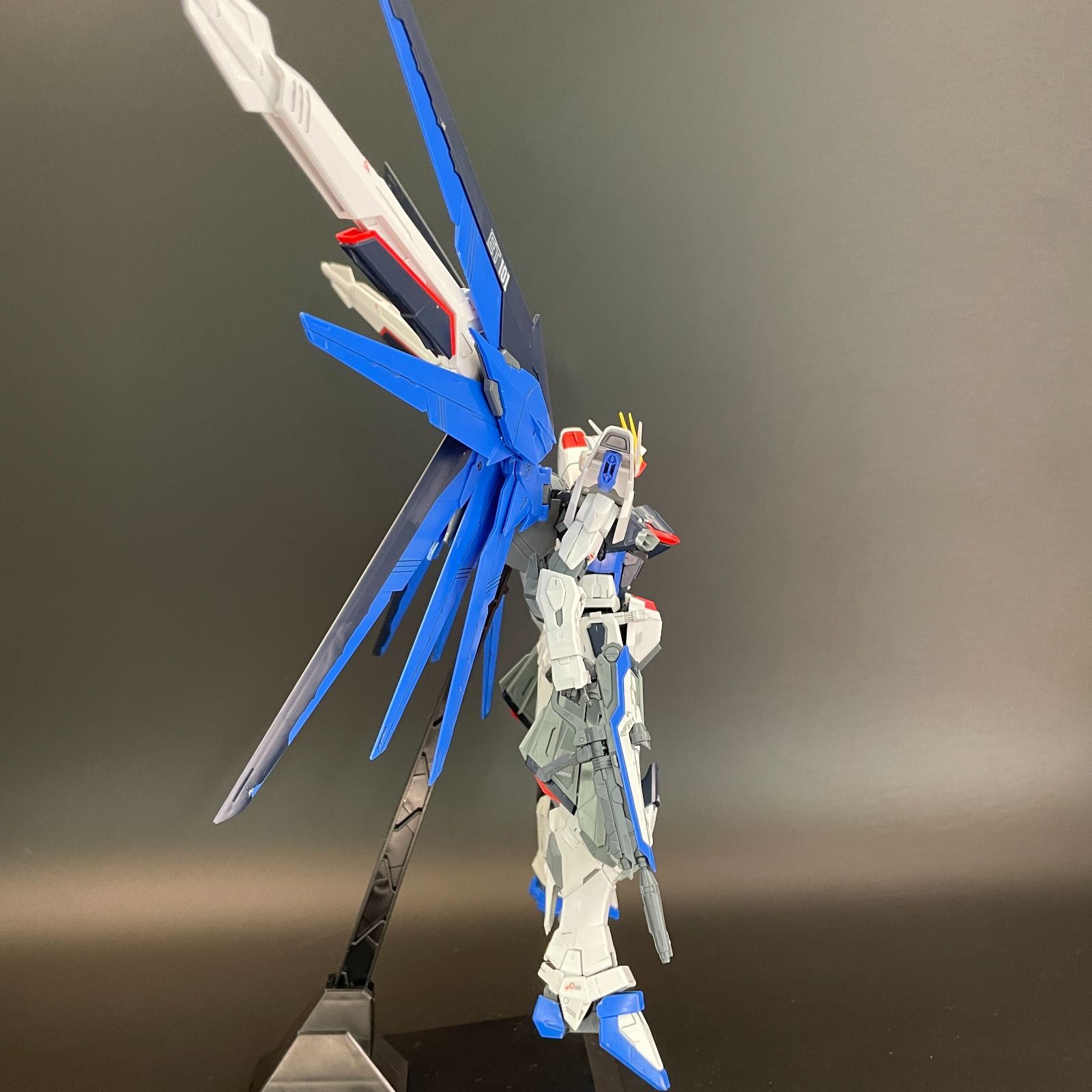 ガンプラ【中古品】 MG 1/100 フリーダムガンダム Ver.2.0 バンダイ