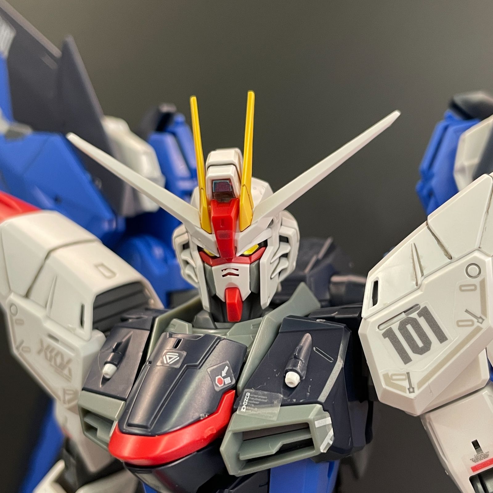 ガンプラ【中古品】 MG 1/100 フリーダムガンダム Ver.2.0 バンダイ