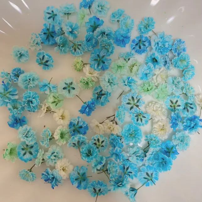 【中小粒】かすみ草ドライフラワー✢コスモブルー 中小粒】かすみ草ドライフラワー✢コスモブルー 染めたカスミ草を