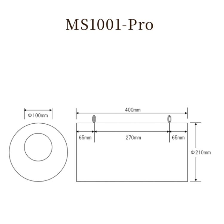 エムズシステム MS