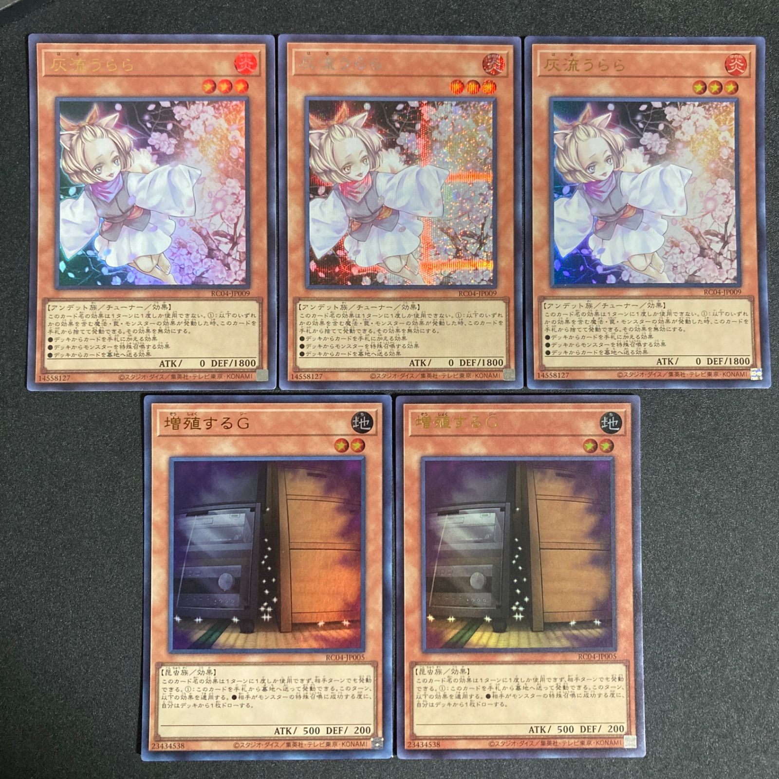 灰流うらら はるうらら 増殖するG 増G ぞうしょくするじー ウルトラ