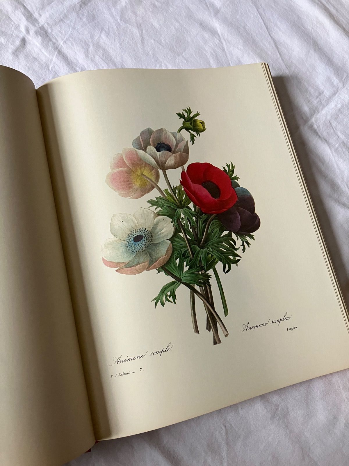 the most beautiful flowers ルドゥーテ 植物図譜 【公式通販】