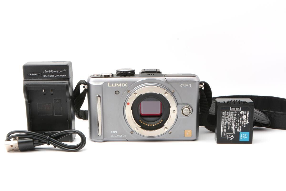 パナソニック ショット数2884回 美品 Panasonic LUMIX DMC-GF1 シルバー セール