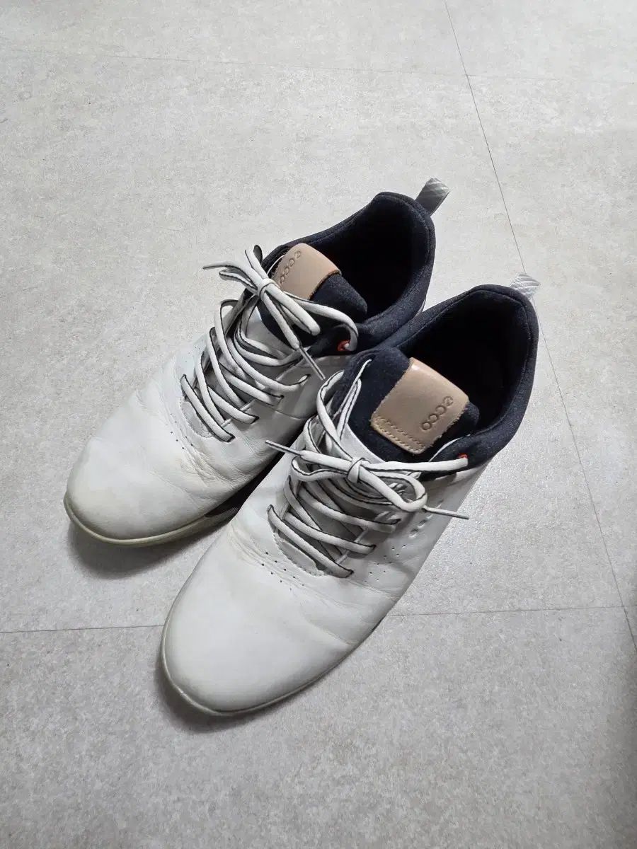 エコースパイクレス ゴルフシューズ