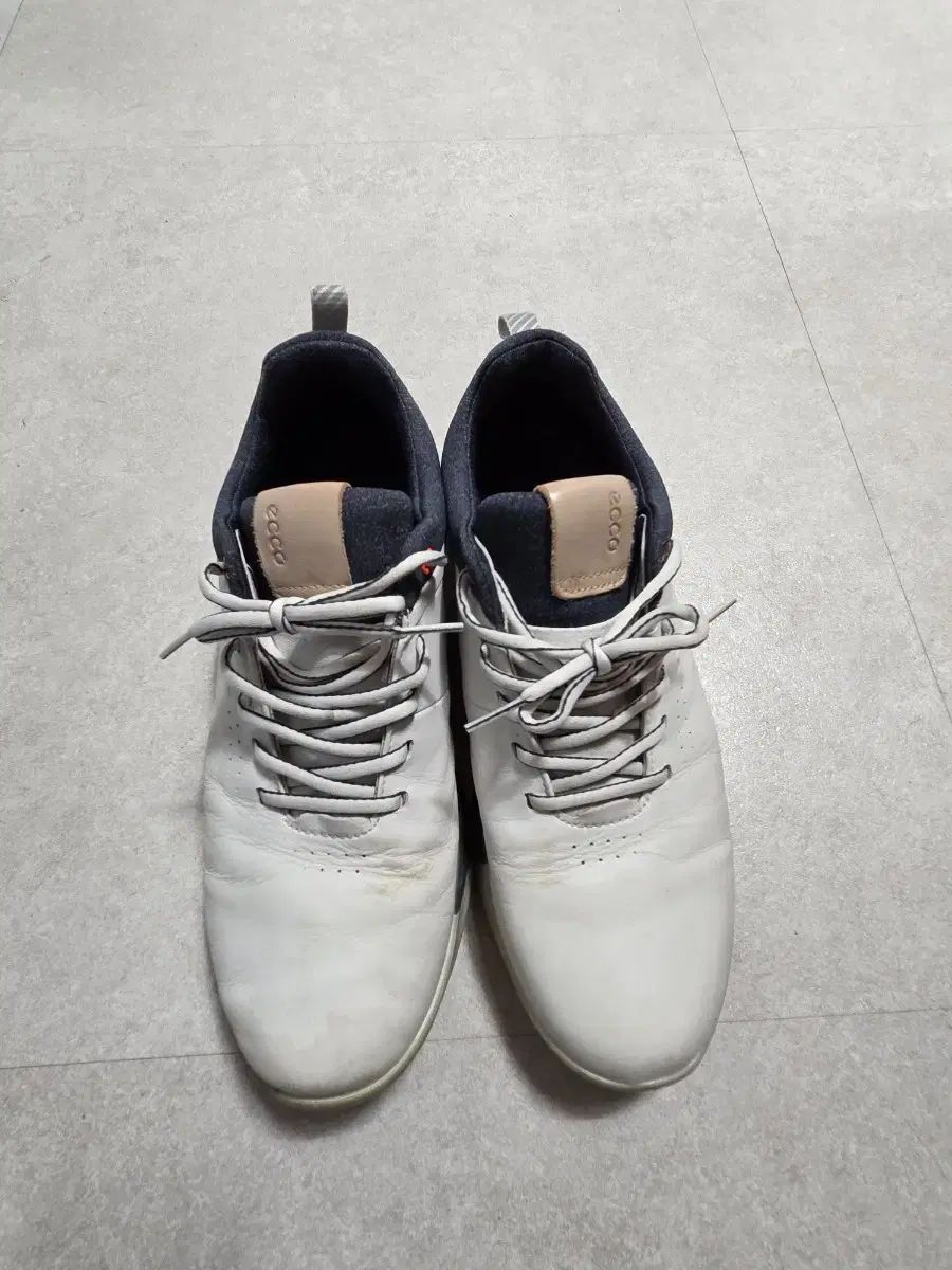 エコースパイクレス ゴルフシューズ