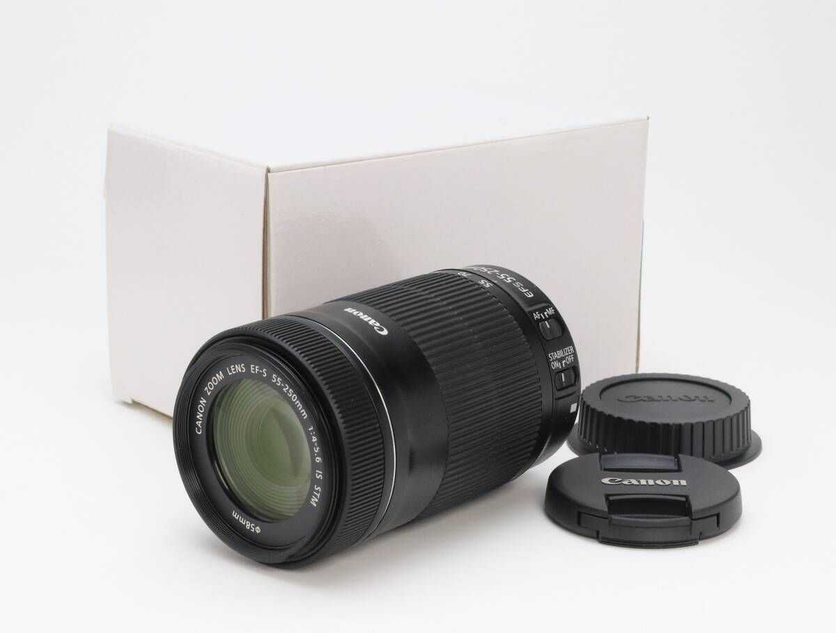 AA- 上品 Canon キヤノン EF-S 55-250 mm F 4-5.6 IS STM 初期不良 対応 212-32