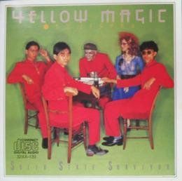 ソリッド ステイト サヴァイヴァー