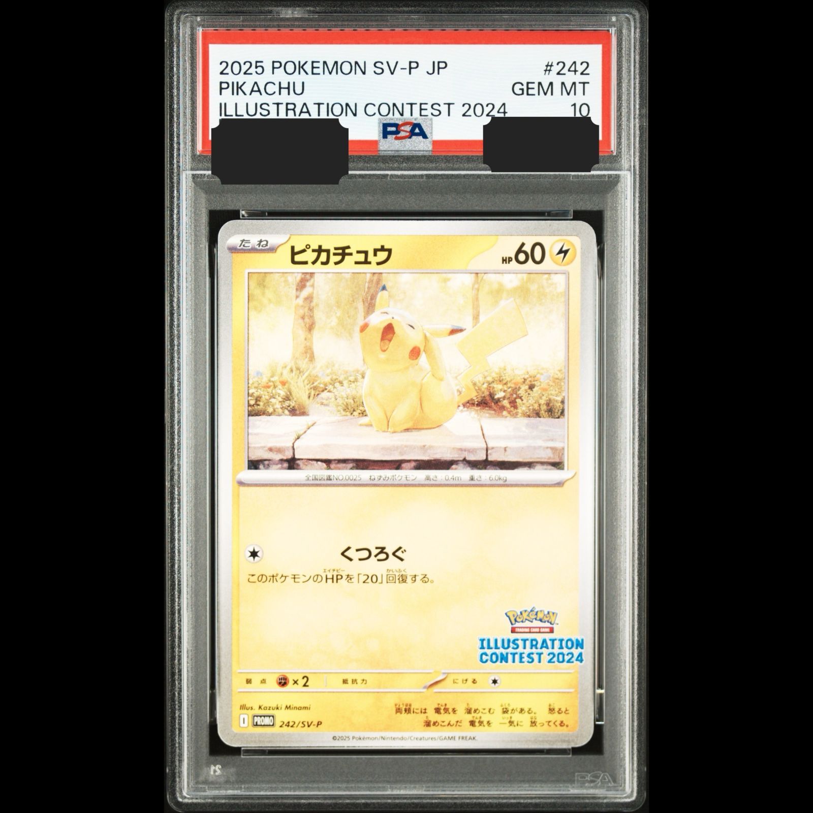 送料無料】ポケモンカード ピカチュウ PSA10 PSA鑑定 PROMO 242/SV-P