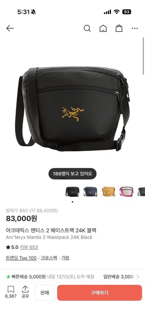 ARC TERYX アークテリクス マンティス２ ウェストパック 24 K ブラック 商品