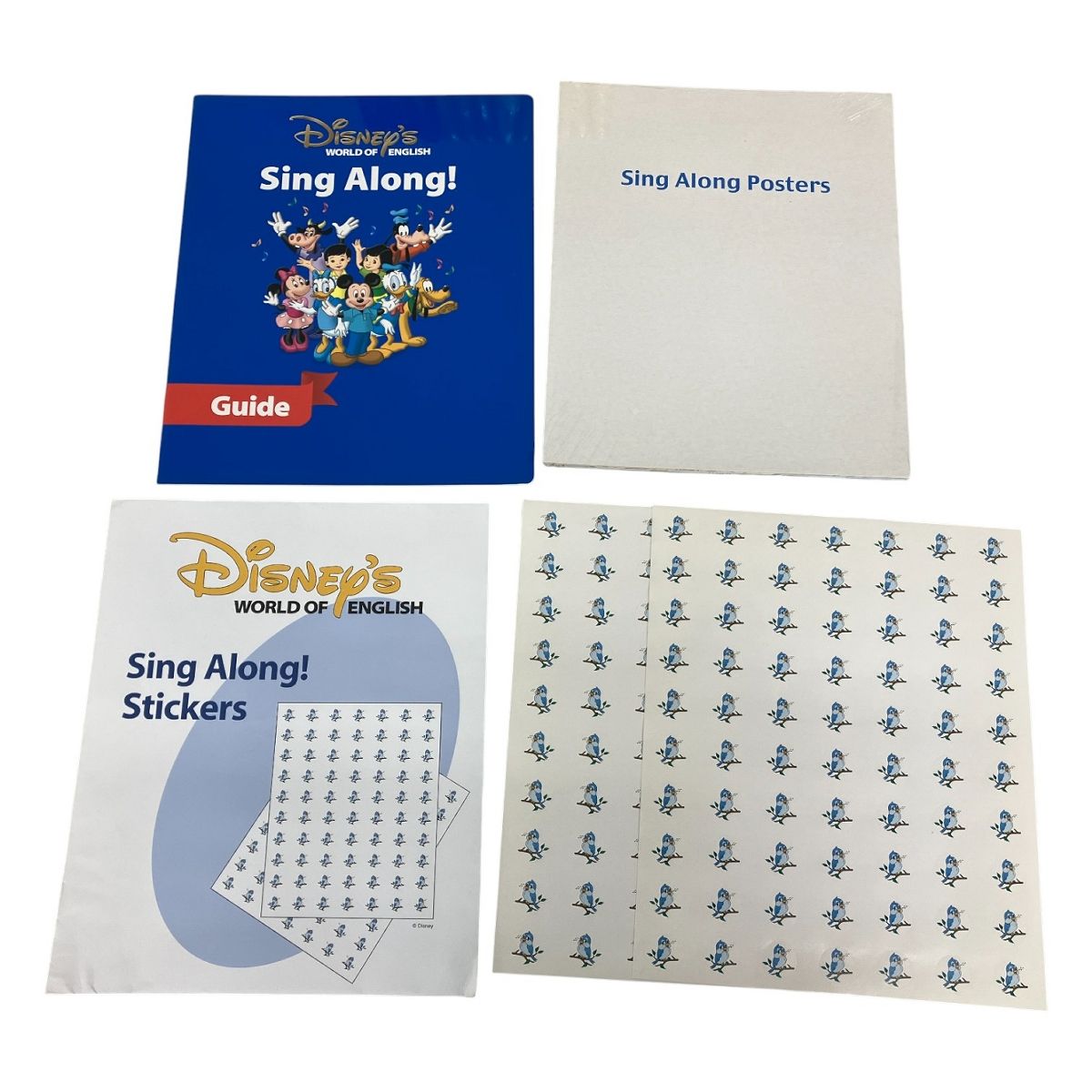 ワールドファミリー DWE ディズニー 英語システム シングアロング DVD
