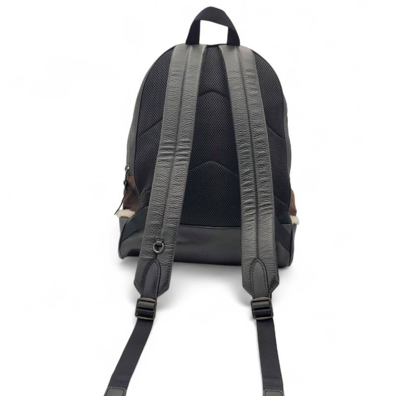 COACH コーチ リュックサック デイパック スウェード スエード レザー