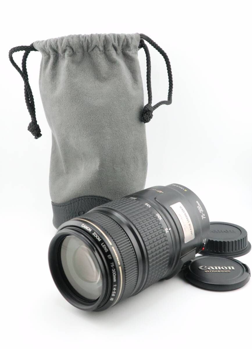キヤノン CANON EF 75-300 mm F 4-5.6 IS USM ケース付 W 1210＃3878