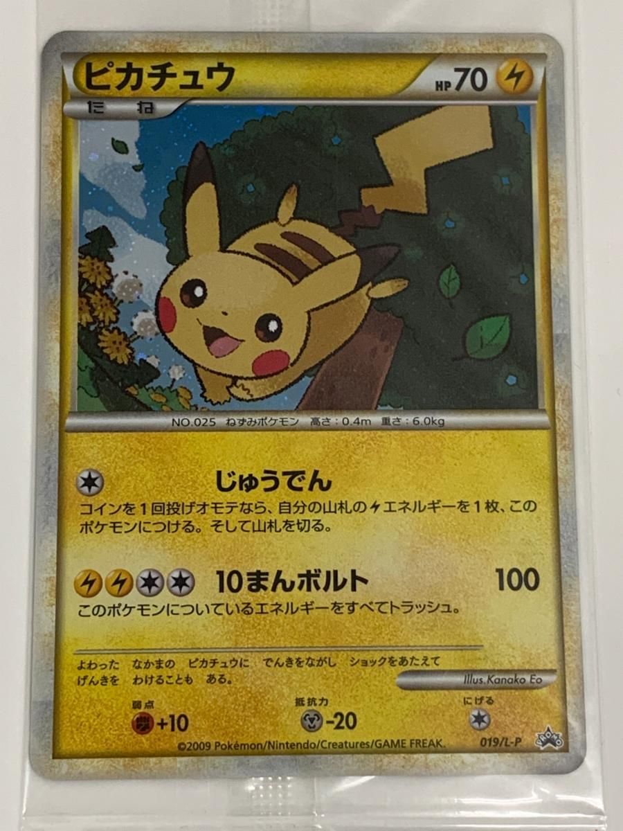 ポケモンだいすきクラブカード PCGアクションポイントプレゼント