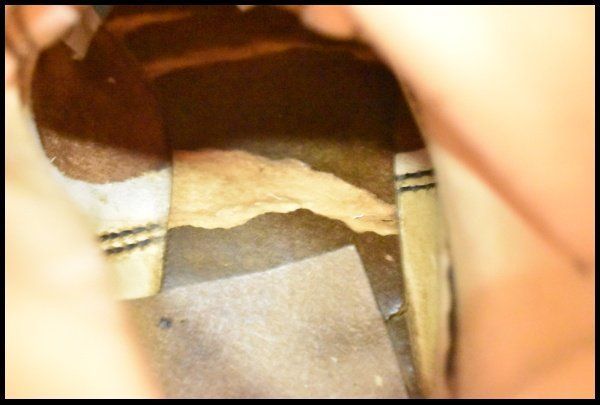 レッドウィング