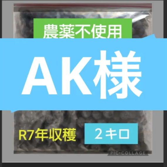AK様専用 冷凍ブルーベリー4キロ