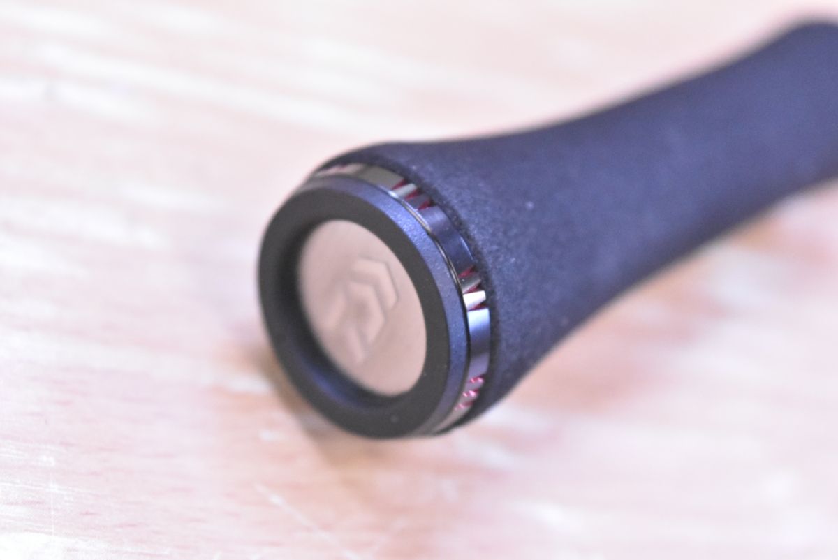 エギング アオリイカ