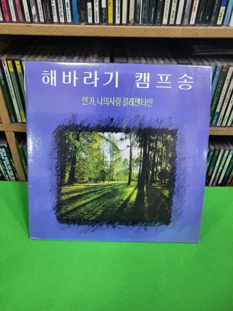 ㅡ LP ー ひまわり キャンプソング