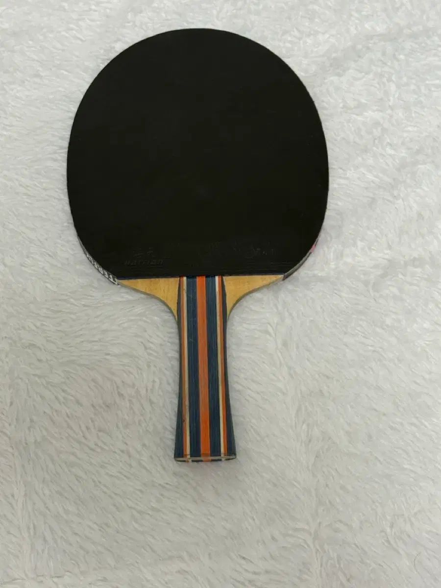 ロキK 1ナノカーボン ハイティアン海馬 卓球ラケット