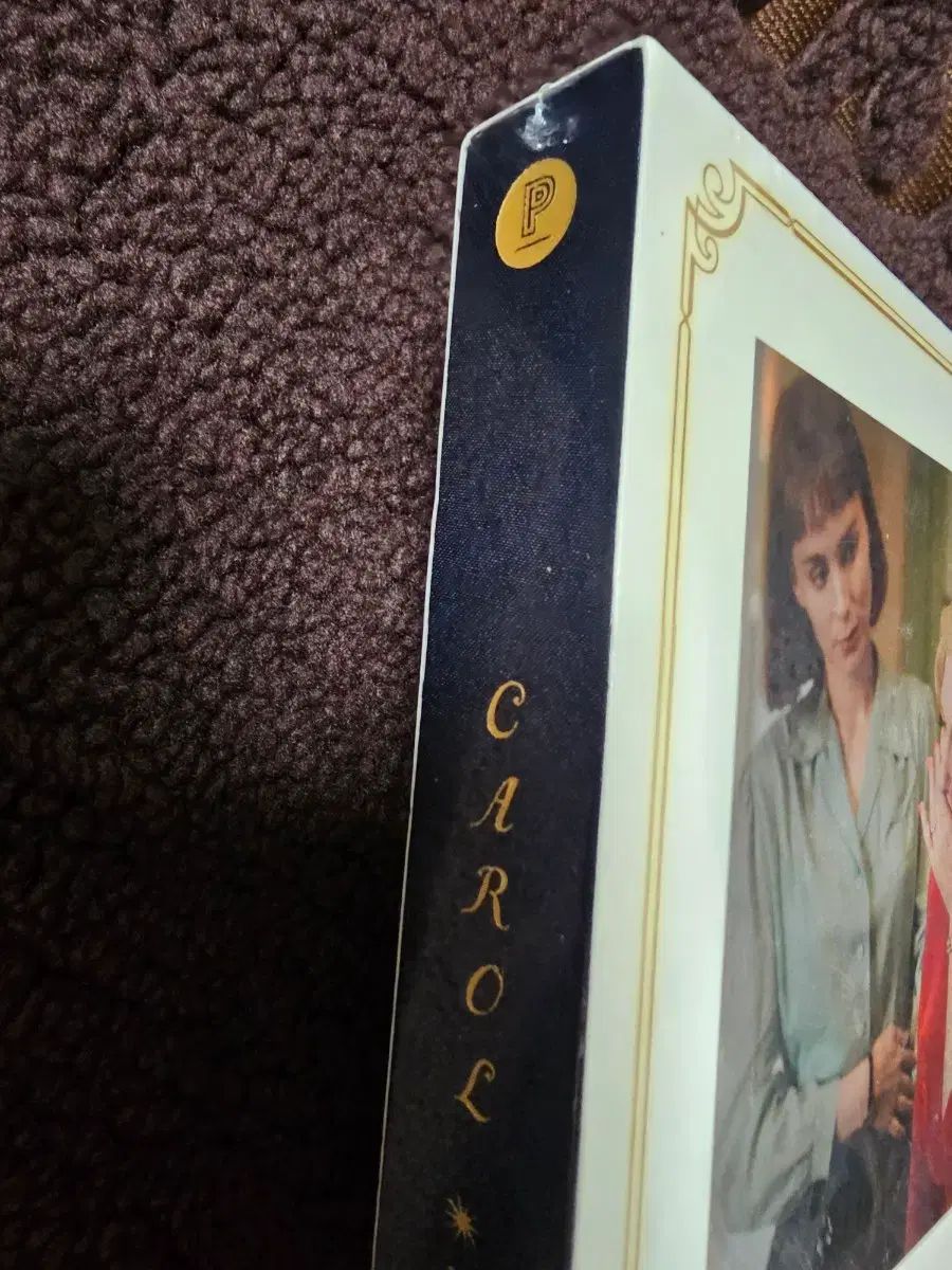 ビニール プレーン Blue Archive ブルーアーカイブ ブルアカ 映画 キャロル 脚本集