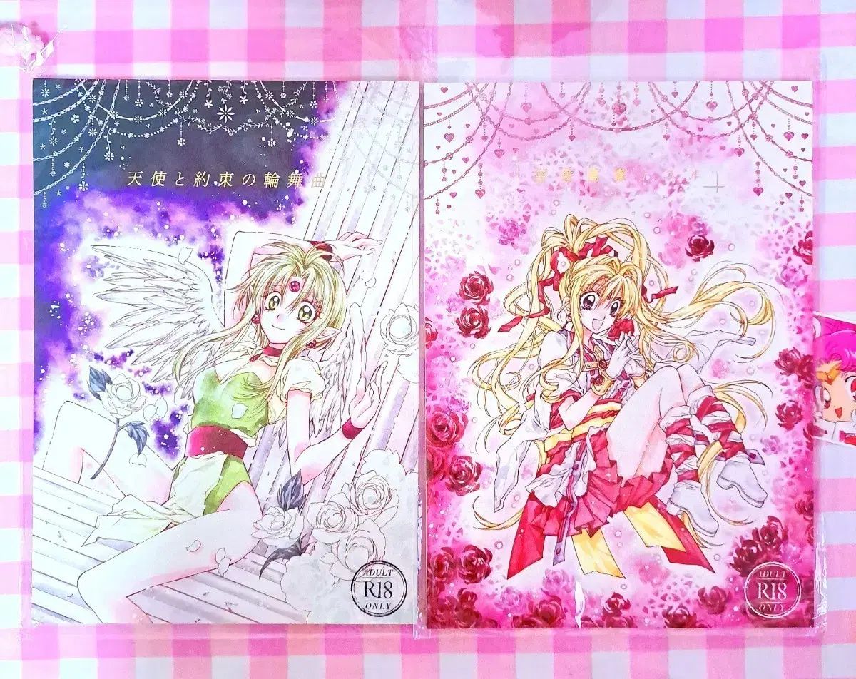 タネムラ アリナ 怪盗 신풍 Zanne チアマロン - エクセスピン日本 同人誌