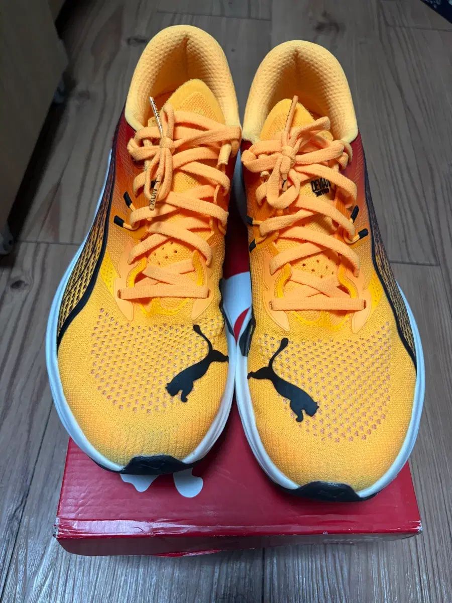 プーマ ディビエイト ニトロ3 270