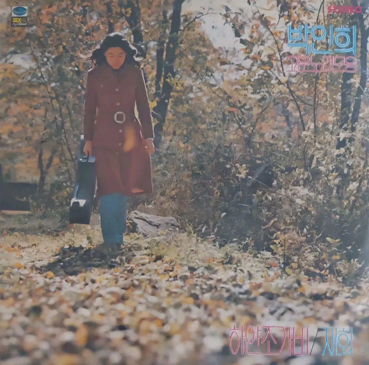 LP パク インヒ 早い 美しい曲の 1 家 アルバム