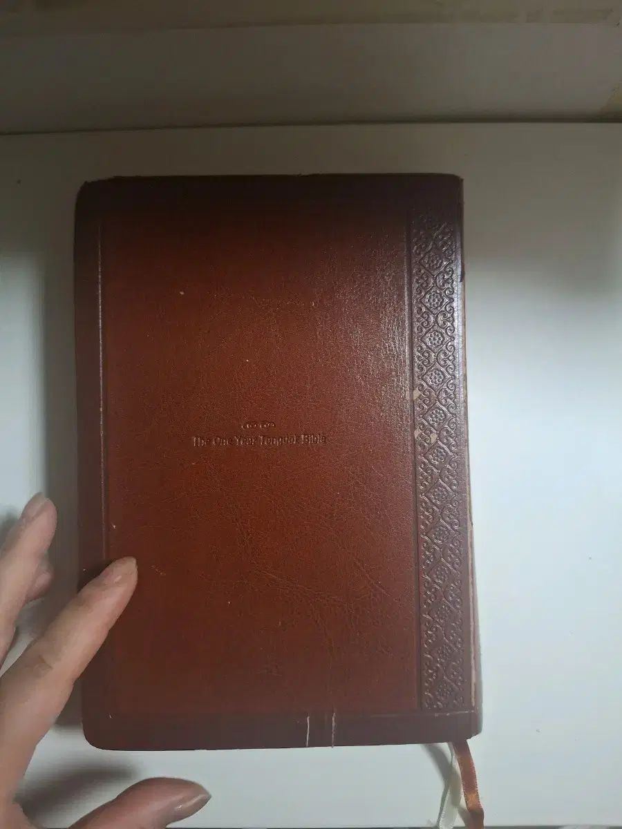 中)丸のまま読書ONE年一読 丸のまま読書城聖書 改訳改訂版(찐ブラウン