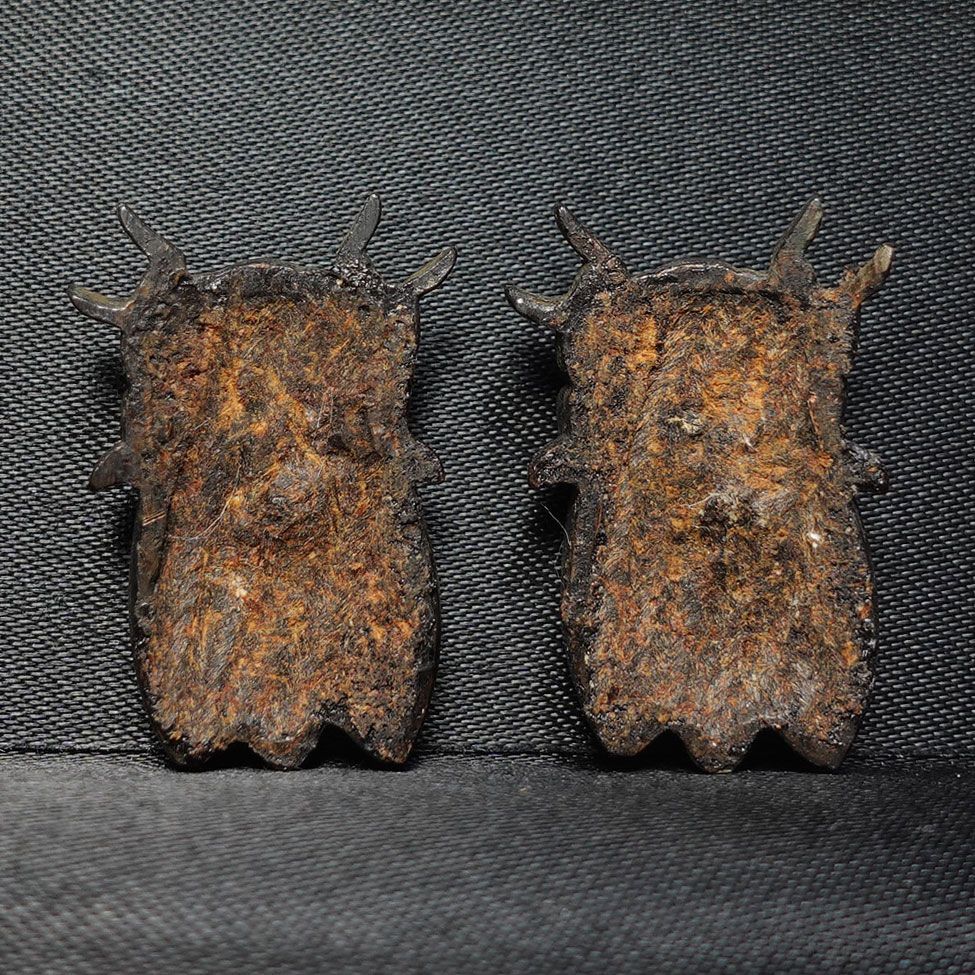 赤銅地容彫蝉図目貫　無銘　高肉彫　金銀象嵌　毛彫　再生復活　cicada　蝉時雨 ☆赤銅地容彫蝉図目貫 無銘 高肉彫 金銀象嵌 毛彫 再生復活 cicada