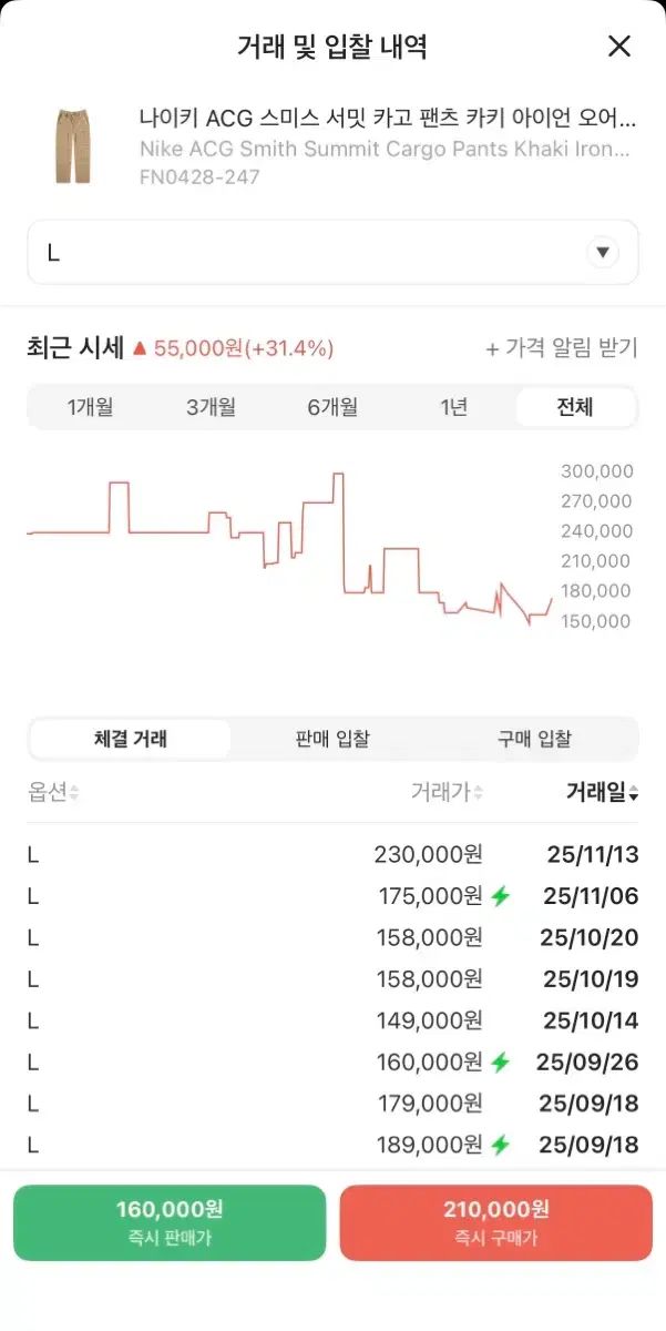 L ナイキ ACG スミス サミット カーゴパンツ