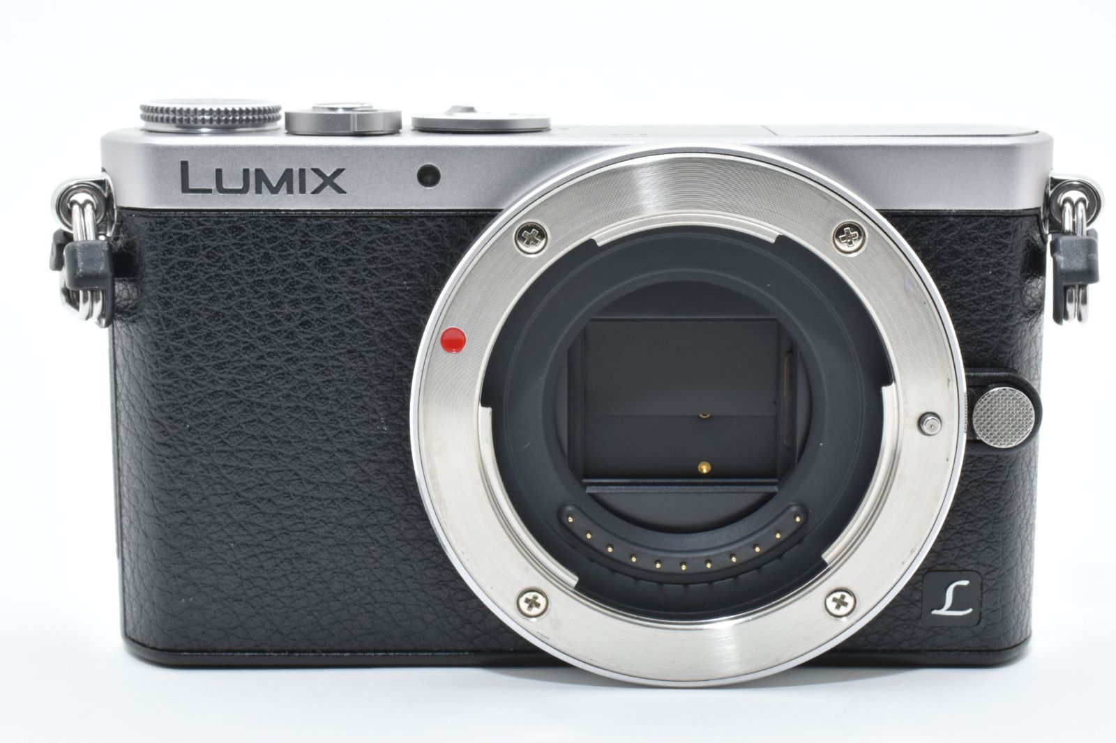 上品 Panasonic DMC GM 1 シルバー バッテリーチャージャーセット no 2