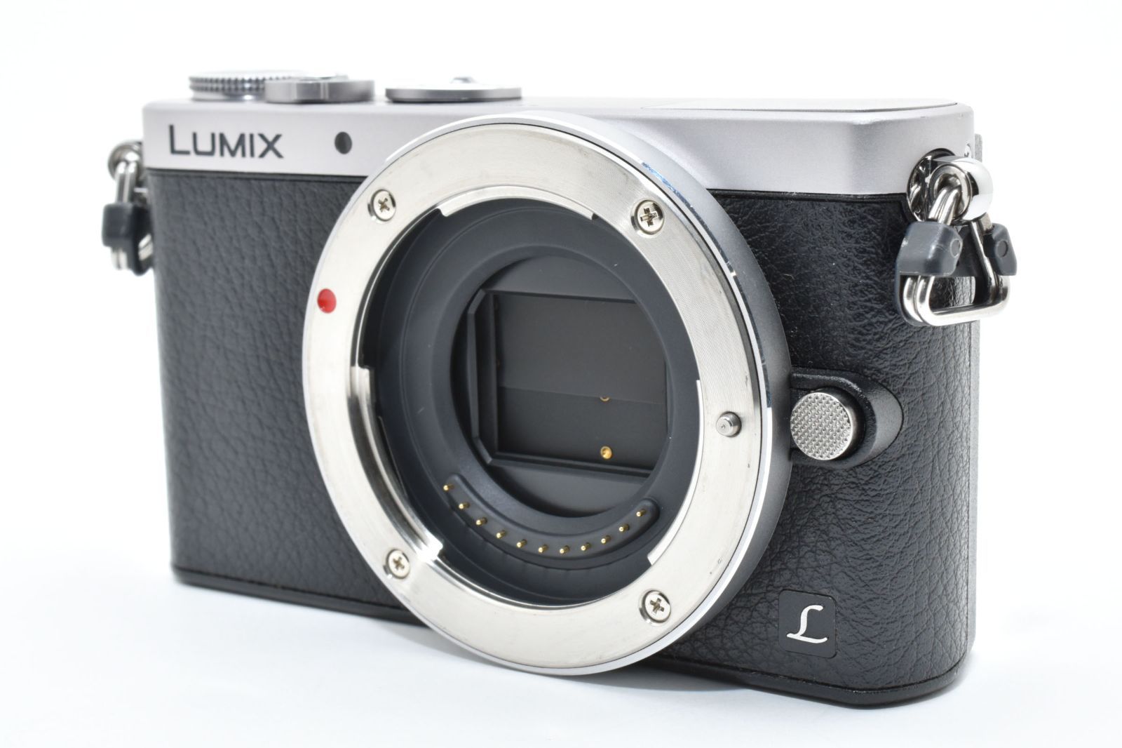 上品 Panasonic DMC GM 1 シルバー バッテリーチャージャーセット no 2