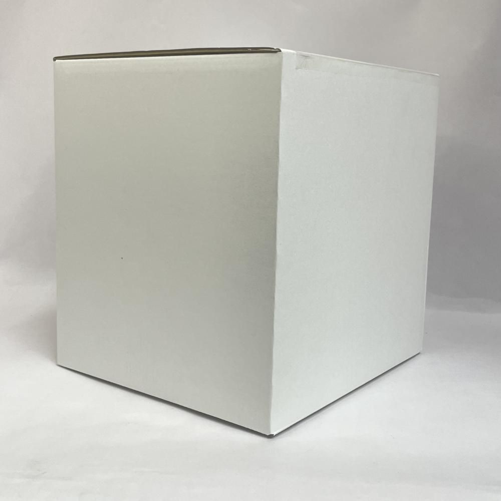 ベルセルク 第43巻 ゾッド胸像フィギュア付き特装版 79