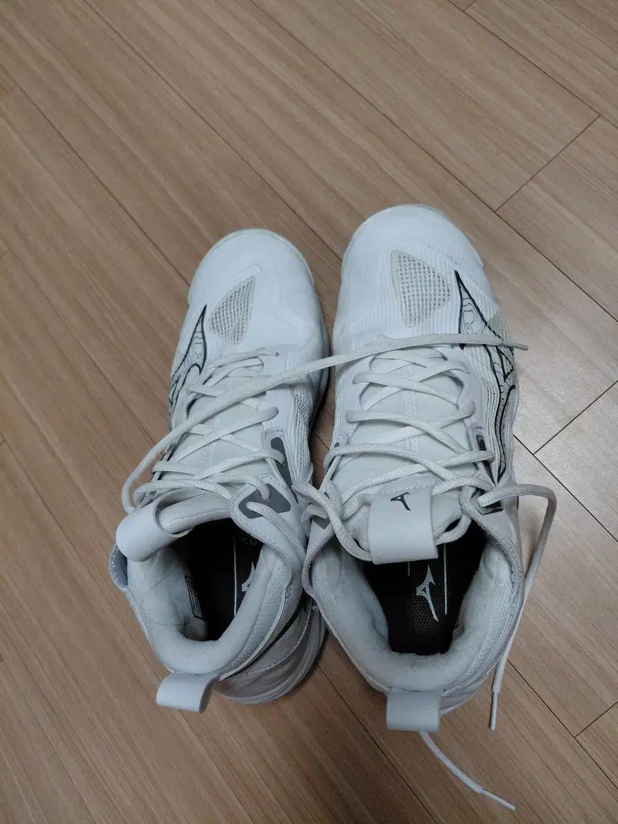 ミズノ バレーボールシューズ コートシューズ 270 mm