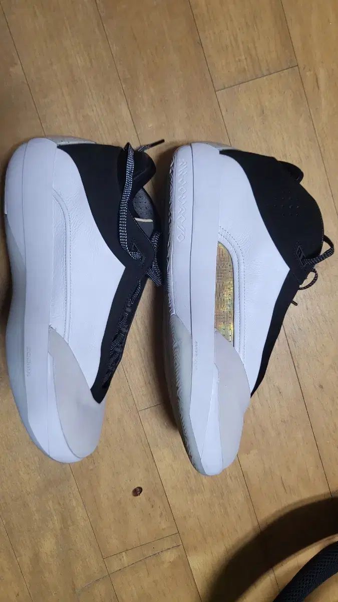 ナイキ ジョーダン40 290 バスケシューズ