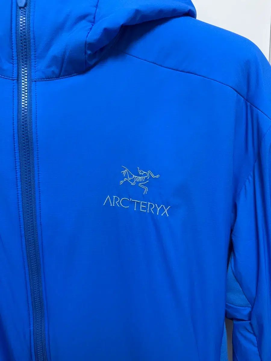  L ARC TERYX アトム LT フーディー Fluidity その他 アウター