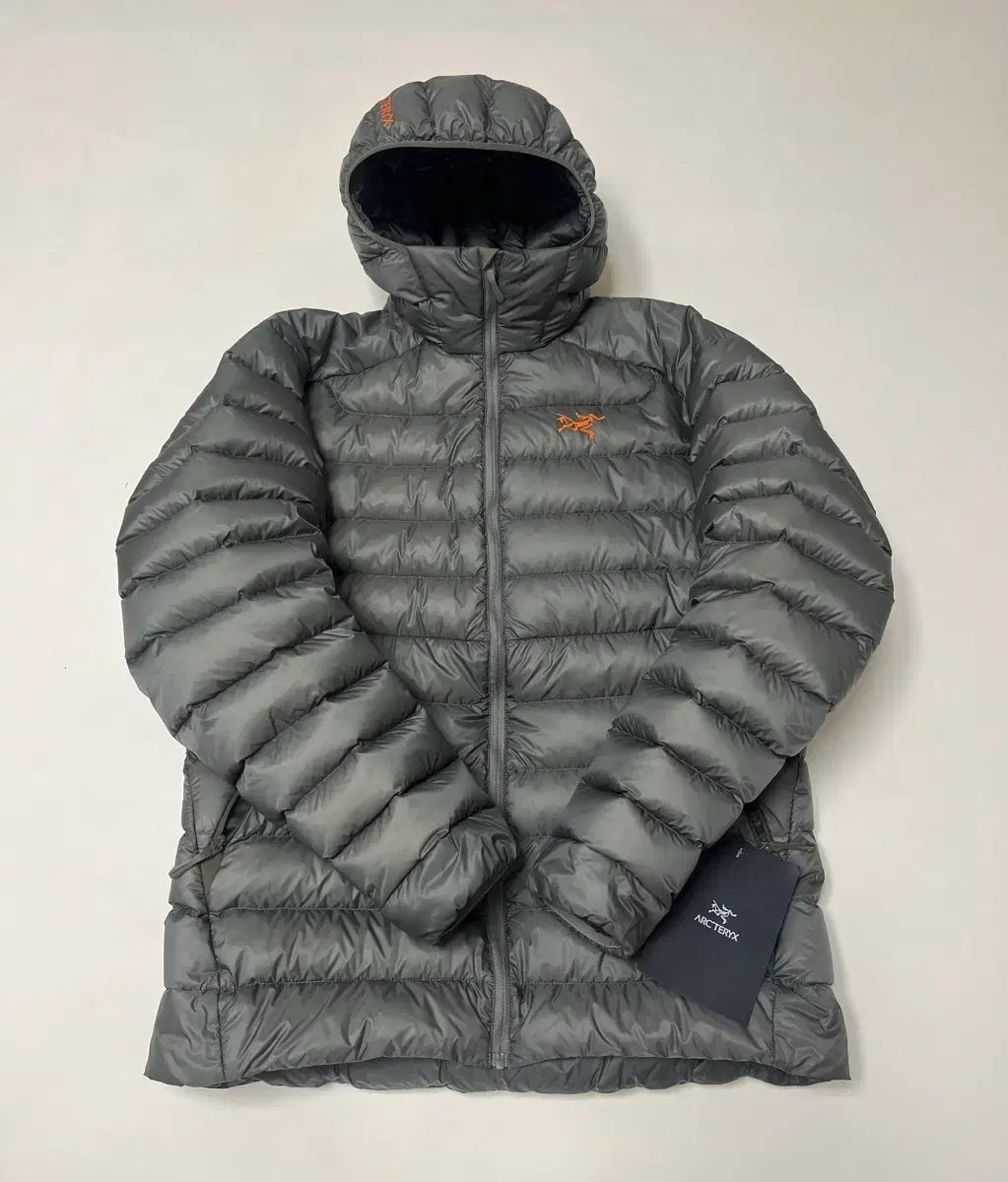 アークテリクス セリウム フーディ ポリッジ