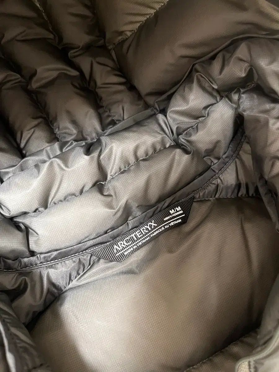 アークテリクス セリウム フーディ ポリッジ