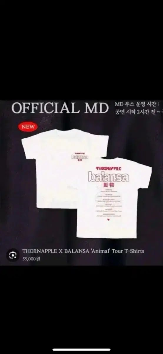 Apple Music サウンドショップ ンサ Tシャツ 白 L