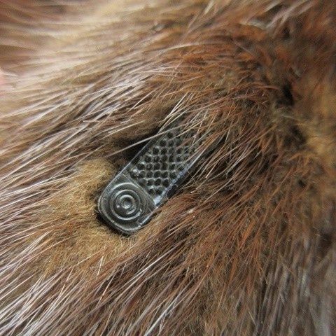 サガミンク SAGA MINK 金サガ Belle Vison ファーコート ロング丈