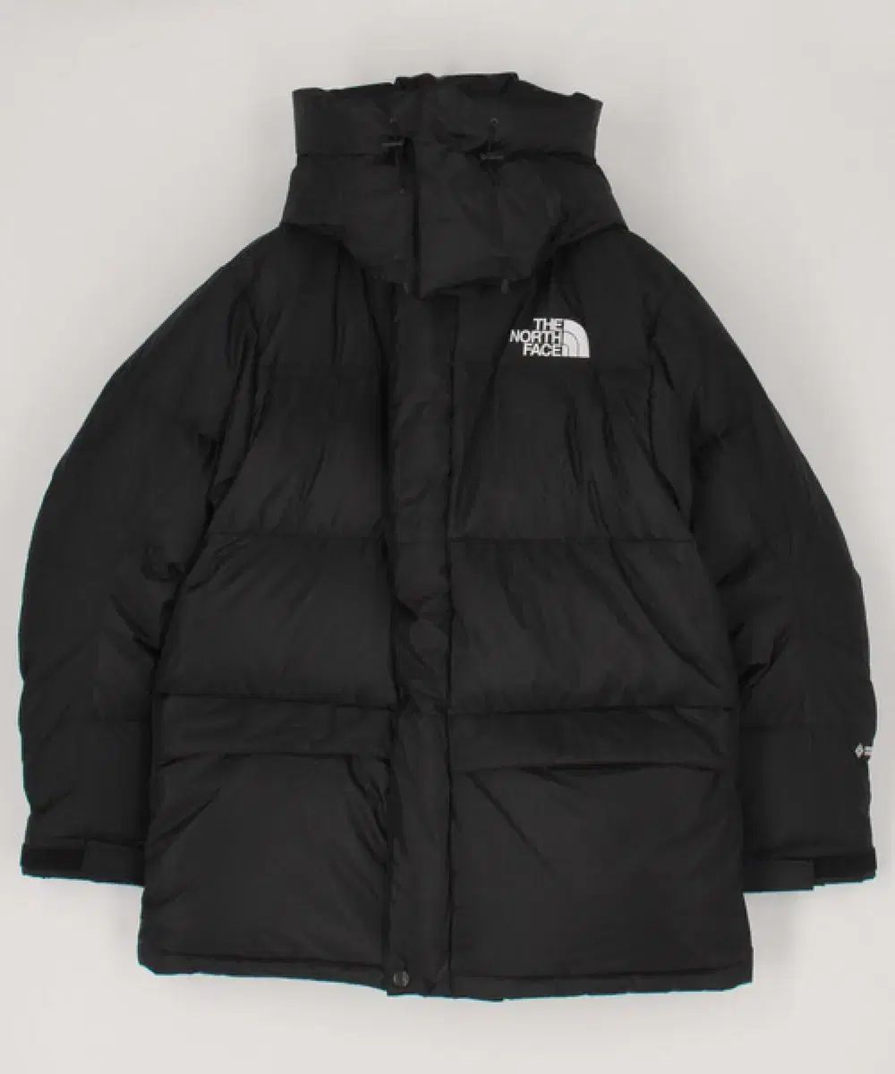 THE NORTH FACE ザノースフェイス 力ダウン 日本版 日本モデル