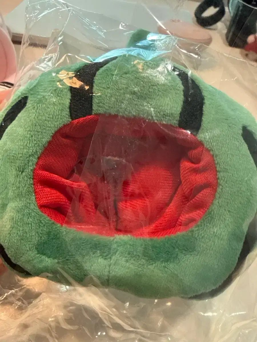 DAY6（デイシックス）デニマルズ(DENIMALZ) 光州 スイカ コスチューム