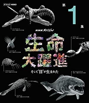 【-非常に良い】 NHKスペシャル 生命大躍進 第1集 [Blu-ray]