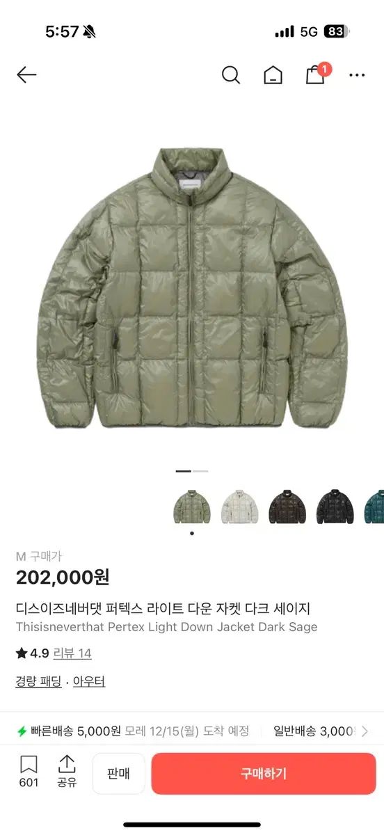 ディスイズネバーザット 軽量ダウン